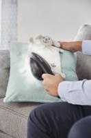 Tefal UT2020 Kleding stomer Zwart - thumbnail