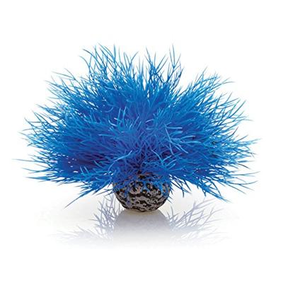 BiOrb zeelelie blauw aquarium decoratie
