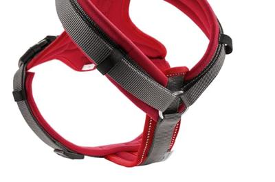 HUNTER Hondentuigje Maldon Up, rood, Maat: M-L