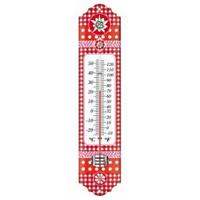 Metalen thermometer Alpen 29 cm rood voor gebruik binnen en buiten - thumbnail