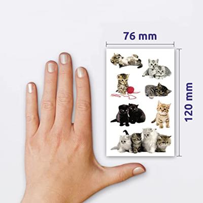 Avery av-55971 papieretiket z-design kids pakje a 3 vel katten foto - thumbnail