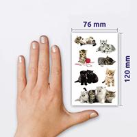 Avery AV-55971 Papieretiket Z-design Kids Pakje A 3 Vel Katten Foto - thumbnail