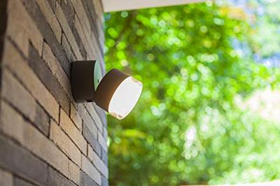 Buitenspot rgb verstelbaar 'Dropsi' led lamp smart bluetooth downlighter Buitenspot rgb verstelbaar 'Dropsi' led lamp smart bluetooth downlighter