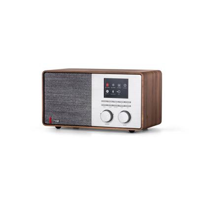 Pinell Supersound 301 Hybride radio Bruin