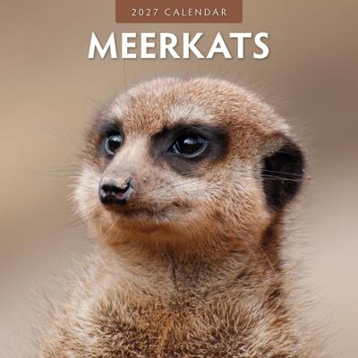 Stokstaartjes Kalender 2027