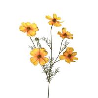 Roberts Collection Kunstbloem cosmos tak 80cm okergeel - thumbnail