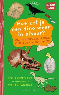 Hoe zet je een dino weer in elkaar? - Gijs Rademaker - ebook