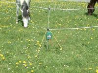 AKO verplaatsbare afrastering set voor trektochten - thumbnail