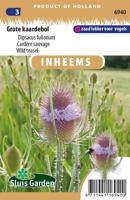 Inheemse Dipsacus fullonum Grote kaardebol zaden - thumbnail
