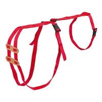 Lijfbieder bandage prolapsbandage voor schapen - thumbnail