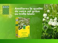 Zaden BHS Trèfle Blanc 500 g - thumbnail