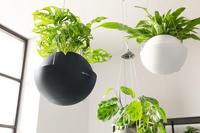 LECHUZA Bloempot - BOLA kleur 32 - Ø 32 × 25 - Complete set - Wit - 3 L - thumbnail