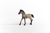 Schleich horse club criollo definitivo veulen 13949 - thumbnail