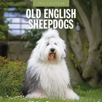 Bobtail / Old English Sheepdog Kalender 2026 - thumbnail