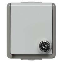 Siemens 5UB4716 Wandcontactdoos Delta Grijs Schakelmateriaal 1 stuk(s)