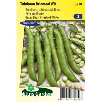Tuinboon Driemaal Wit 80 gram Tuinboon Driemaal Wit 80 gram