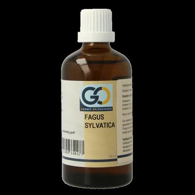 Fagus sylvatica bio 100 Milliliter