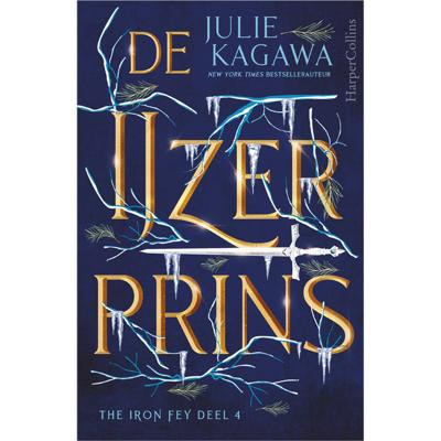 De IJzerprins (Paperback)