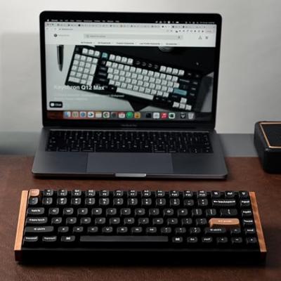 Keychron K2 HE Special edition zwart Keychron K2 HE Special edition zwart