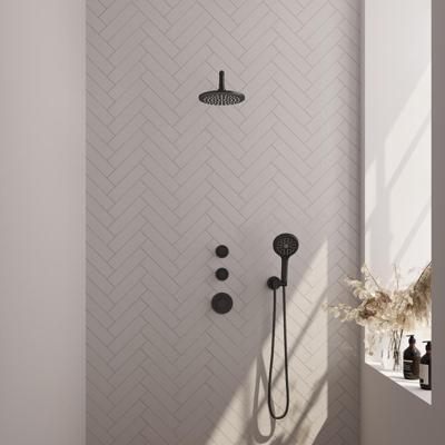 Inbouw Regendouche Set Brauer Black Edition Gebogen Wanduitloop Ronde Hoofddouche 20 cm Met Twee Stopkranen en Handdouche 3 Standen Mat Zwart Brauer