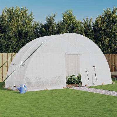 VidaXL Tuinkas met stalen frame 12 m² 6x2x2,85 m
