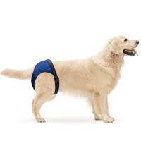 Nobleza Hondenbroekje met 3 pads - Maat XL - thumbnail