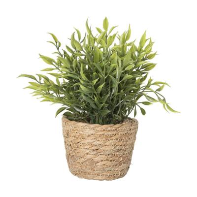 Plantje in rieten mand - spits blad - ø10x19 cm Plantje in rieten mand - spits blad - ø10x19 cm