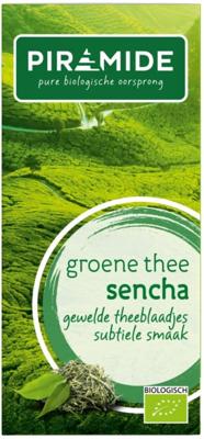 Piramide Thee Groene Thee Sencha