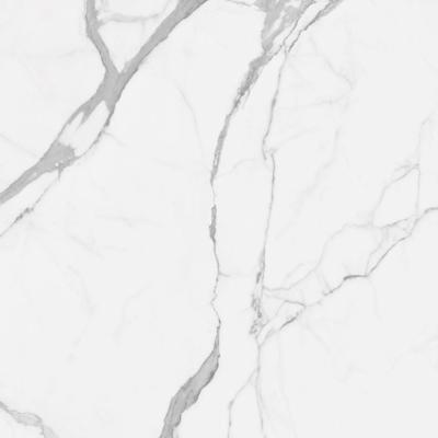 Vloertegel Alaplana P.E. Palladio Statuario Gepolijst 120x120 cm Gerectificeerd Marmerlook Alaplana