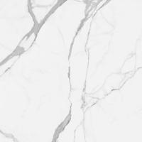 Vloertegel Alaplana P.E. Palladio Statuario Gepolijst 120x120 cm Gerectificeerd Marmerlook Alaplana - thumbnail