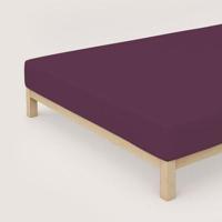 Schlafgut Schlafgut Pure Jersey Hoeslaken XL - 180x200 - 200x220 542 Purple Deep - thumbnail