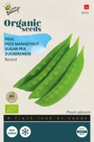 Organic Peulen Record (Bio) zaden Buzzy - Buzzy - thumbnail