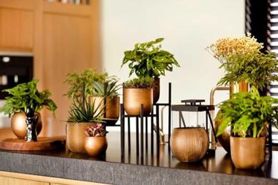 Capi Bloempot Pot Bol Groove Zwart Ø14cm