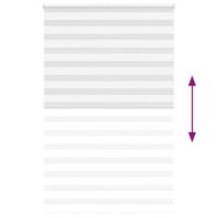 Zebra rolgordijn 150x230 cm stofbreedte 145,9cm polyester wit - thumbnail