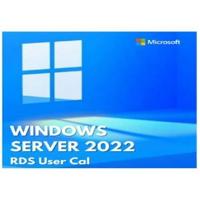 Windows Svr 2022 CAL 1 Gebruiker - thumbnail