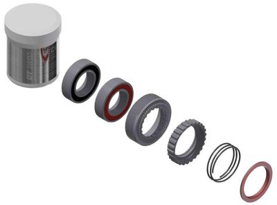 DT swiss service/upgrade kit 54t for ratchet exp hubs