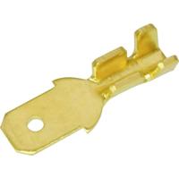 Quadrios 1908C181 Assortiment kabelschoenen 0.50 mm² - 1 mm² Messing, Transparant 100 onderdelen - thumbnail