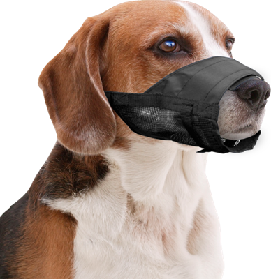Pawise Muzzle Adjustable XL - thumbnail