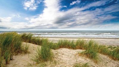 Strand wolk 130x70cm Tuinschilderij Customize-it - Customize it