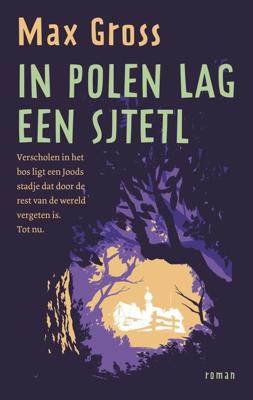 In Polen lag een sjtetl - Max Gross - ebook