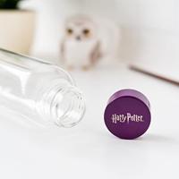 Harry Potter - Glass Drinking Bottle - thumbnail