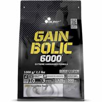 Gain Bolic 6000 1000gr Vanille - thumbnail