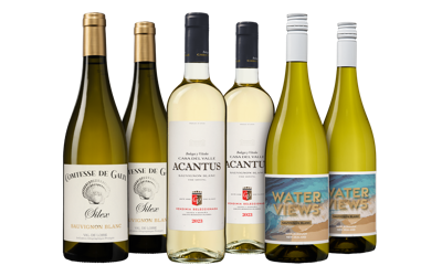 Sauvignon Blanc Wijnpakket