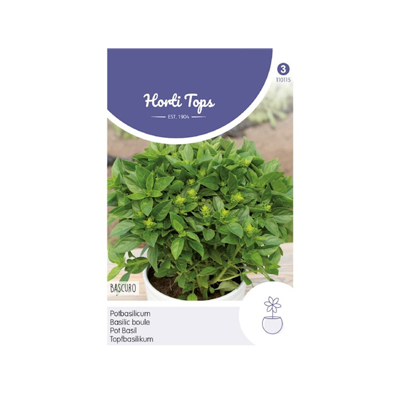 Zaden Pot-Basilicum Bascuro Griekse Donkergroene Hortitops - Hortitops