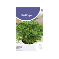Zaden Pot-Basilicum Bascuro Griekse Donkergroene Hortitops - Hortitops - thumbnail