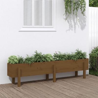 VidaXL Plantenbak verhoogd 160x30x38 cm massief grenenhout honingbruin