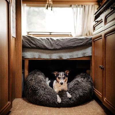 DISTRICT70 Huisdierenmand FUZZ S donkergrijs DISTRICT70 Huisdierenmand FUZZ S donkergrijs