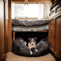 DISTRICT70 Huisdierenmand FUZZ S donkergrijs - thumbnail