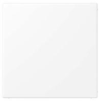 JUNG Blindplaat met draagframe LS994BWWM Mat Wit