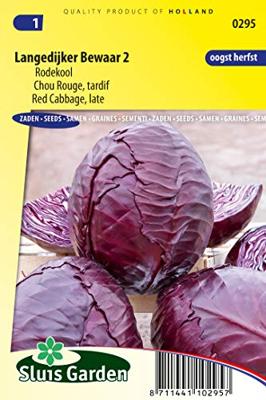 Rodekool zaden - Langedijker Bewaar 2